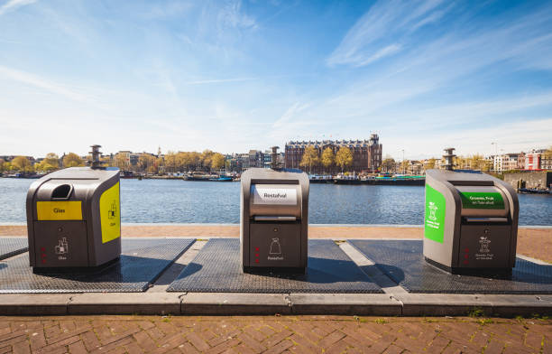 Residential Bin and Dumpster Service Near You